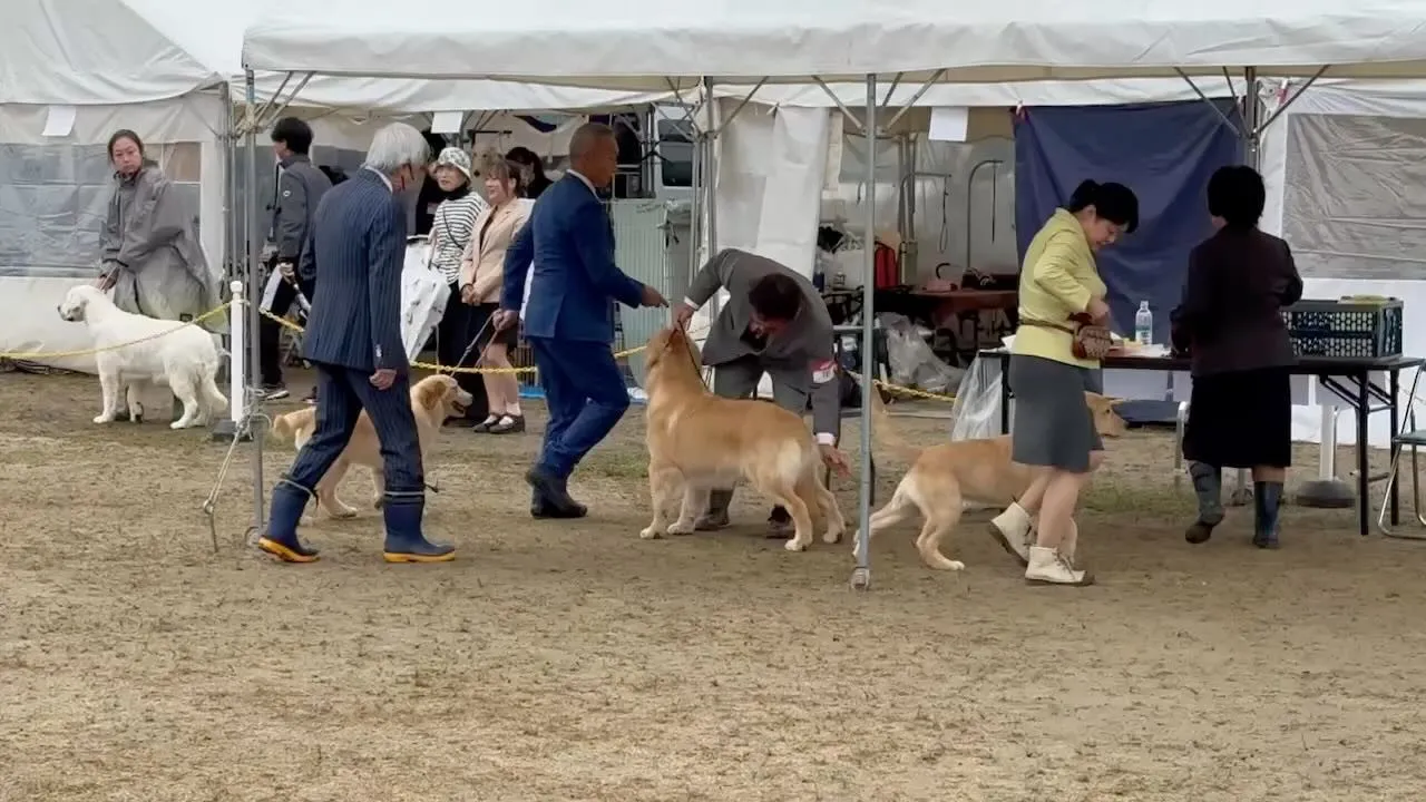 今日は午後からは残念だったけど