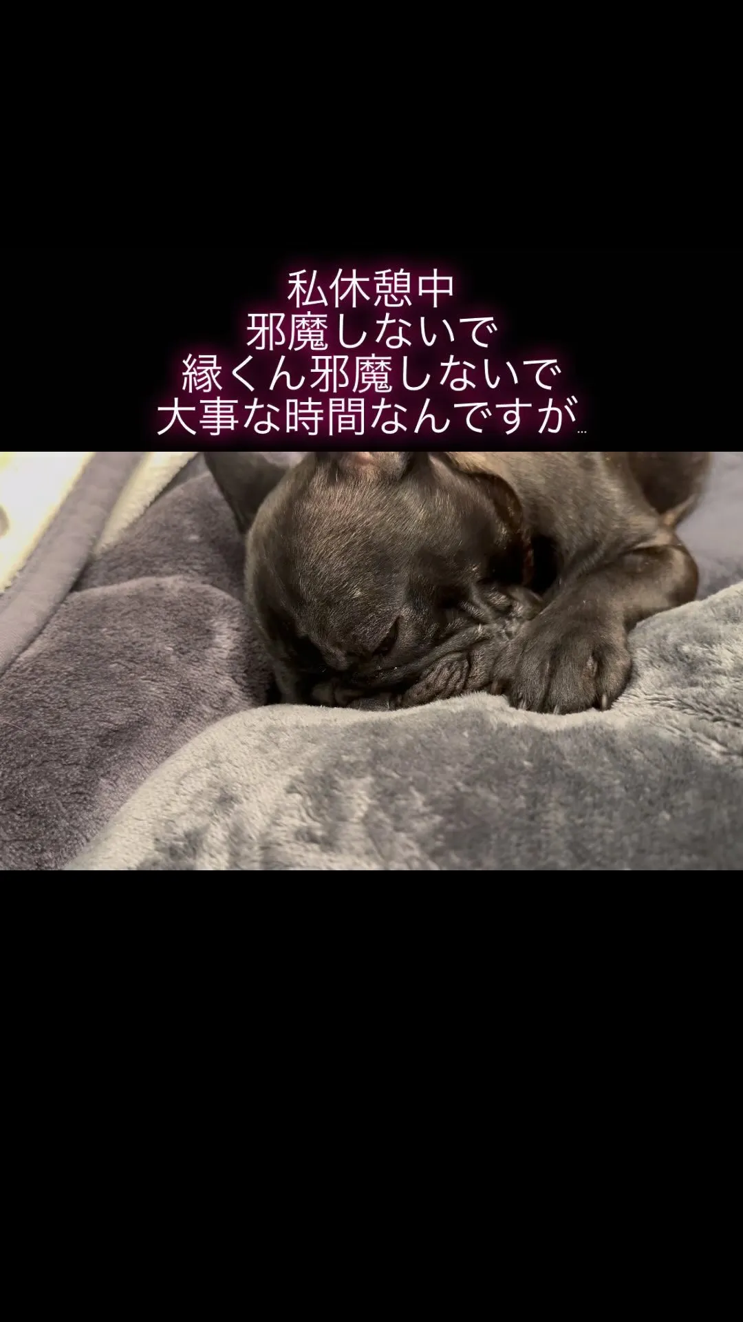 アグちゃんを休憩中