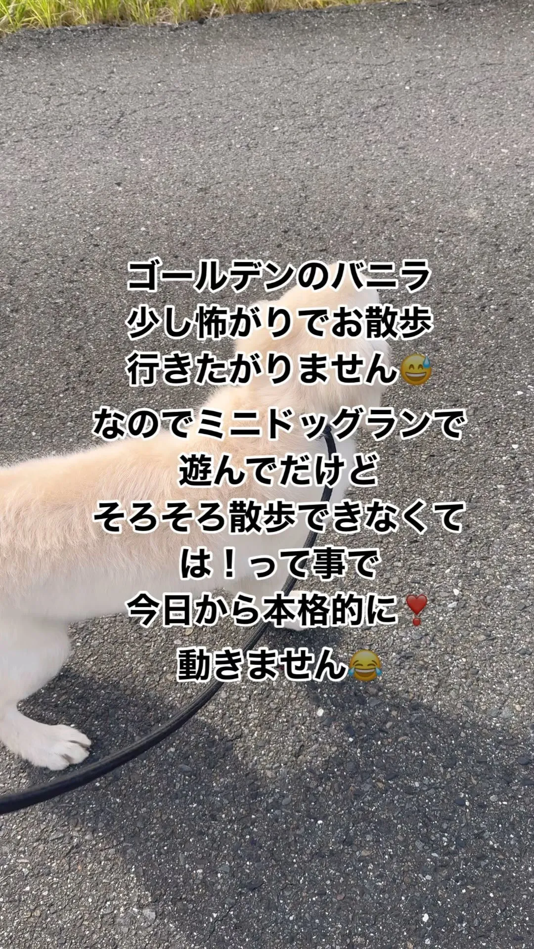 バニラ頑張ろうね❣️